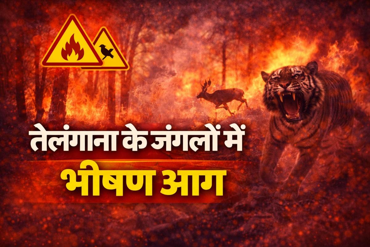 Nallamala Forest Fire News: तेलंगाना के जंगलों में भीषण आग, वन्यजीवों पर मंडराया खतरा