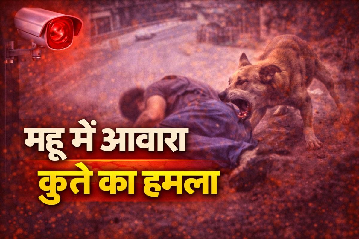 Indore Dog Attack News: महू में आवारा कुत्ते का हमला, CCTV में कैद हुई खौफनाक घटना
