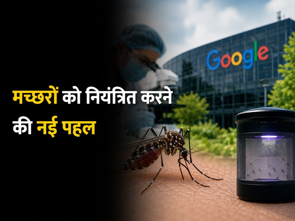 बीमारी फैलाने वाले मच्छरों को नियंत्रित करने की नई पहल, Google से जुड़ी परियोजना फिर चर्चा में
